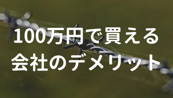 100万円で買える会社のデメリット